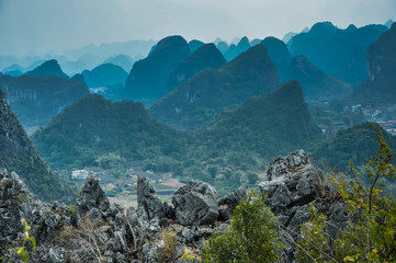 怎么制作苔藓微景观