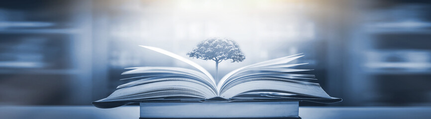 三字经到底背哪个版本