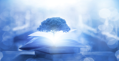 冬季驾车有哪些注意事项