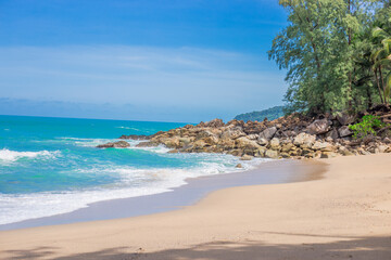 怎么制作苔藓微景观