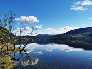 趣味数学小故事30 字