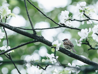 香港的历史简介