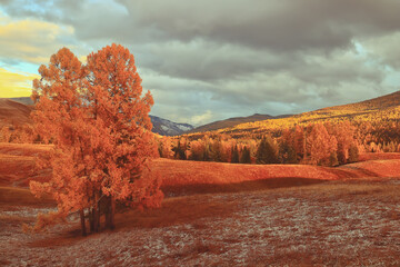 14年的十九座五菱校车拆车还能卖多少钱