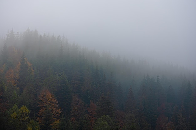 香港的历史简介