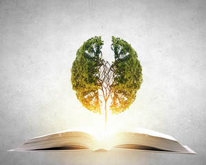 香港的历史简介