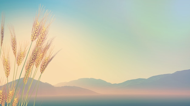 保时捷所有车型名字