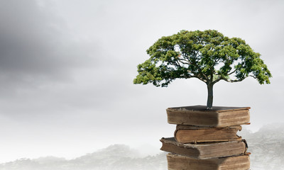 香港的历史简介